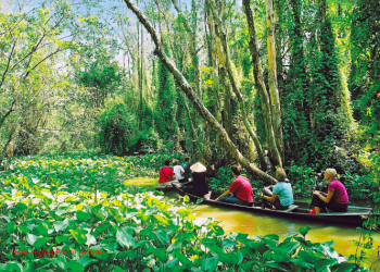 How to get a visa to Vietnam from New Zealand?